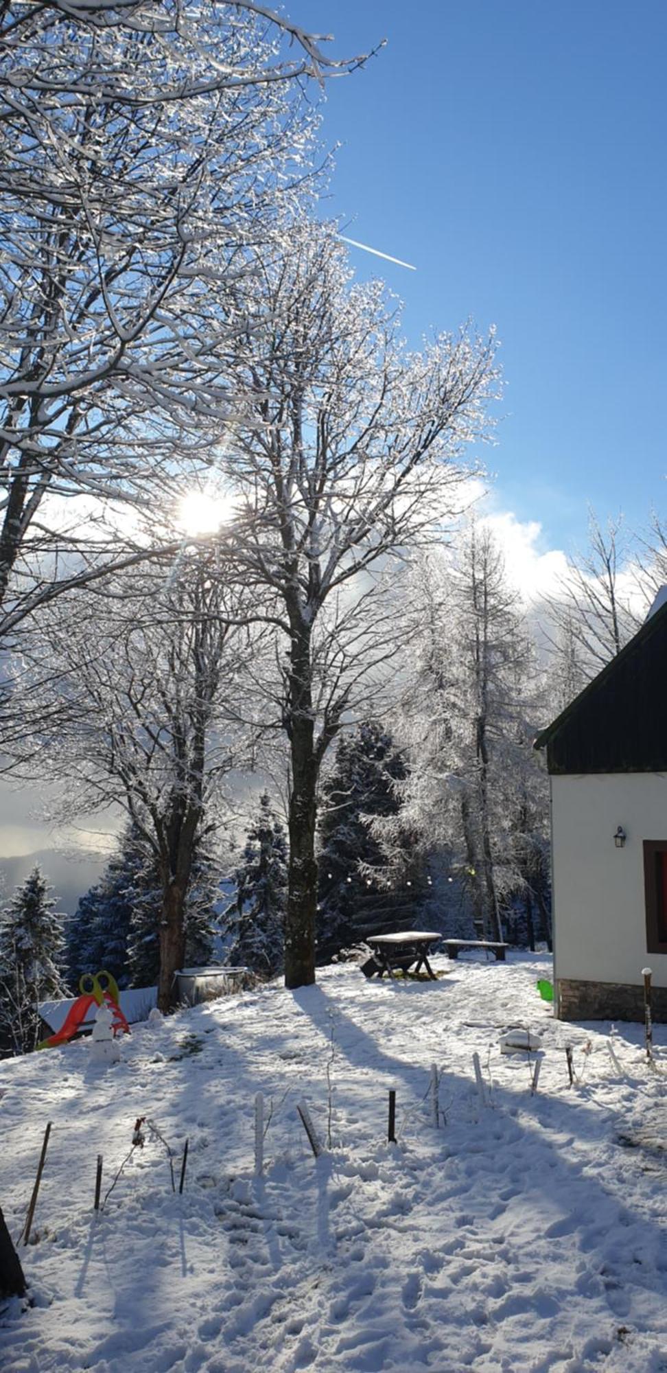 Five Maple Home For Families And Wild Nature Lovers Medenec Экстерьер фото